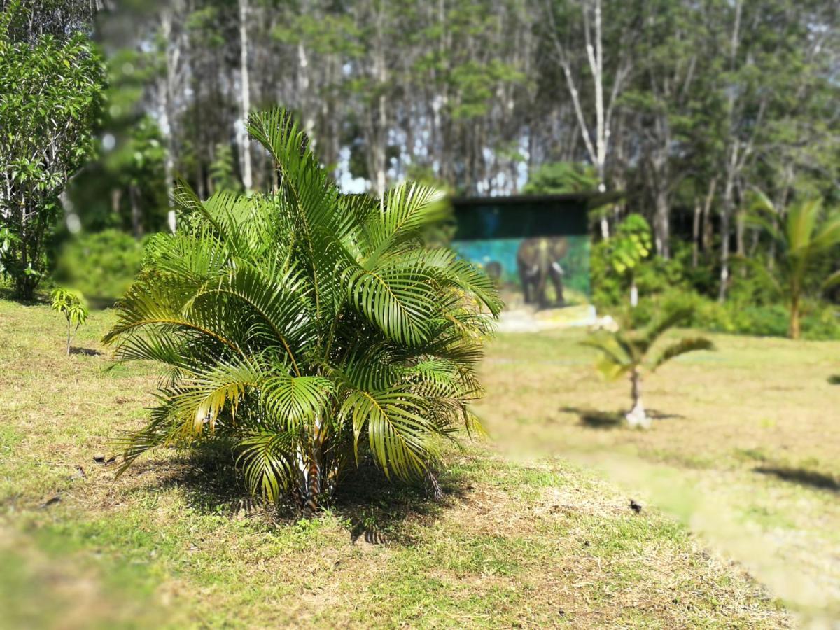 Apartament Palm Garden House Ko Lanta Zewnętrze zdjęcie