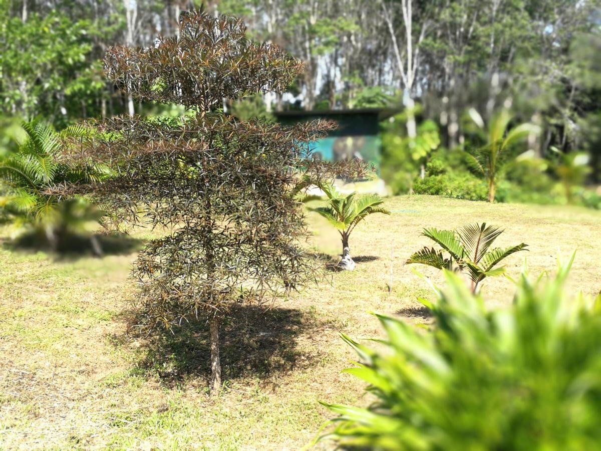 Apartament Palm Garden House Ko Lanta Zewnętrze zdjęcie