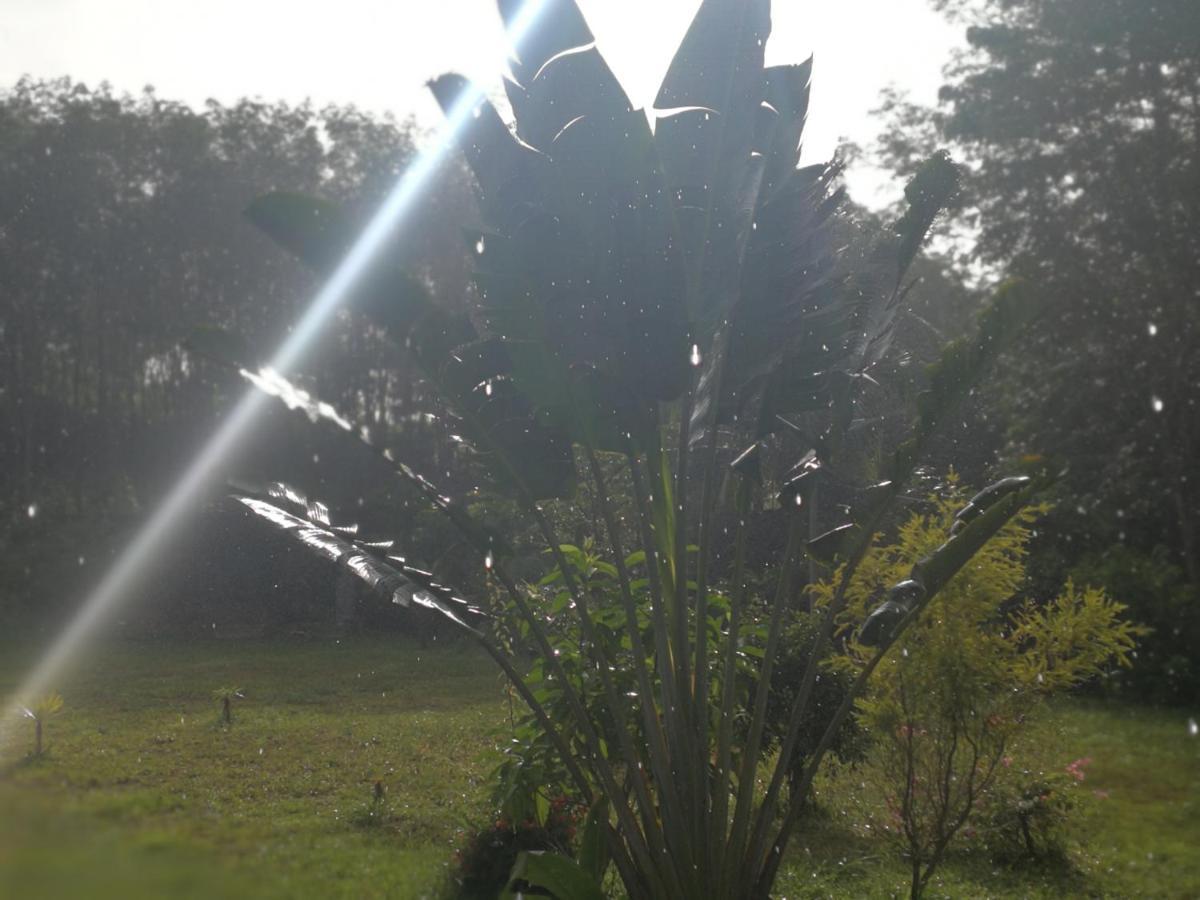Apartament Palm Garden House Ko Lanta Zewnętrze zdjęcie